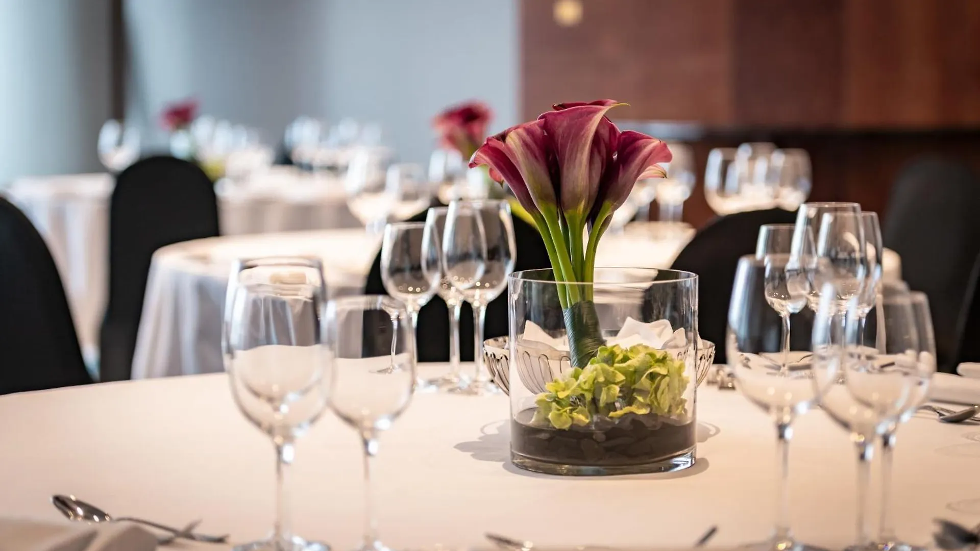 *****  מלון The Westin Grand מינכן גרמניה